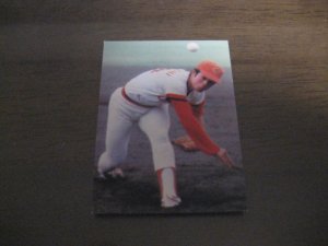 画像1: カルビープロ野球カード1979年/高橋里志/広島カープ