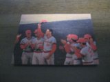 カルビープロ野球カード1979年/山根和夫/広島カープ