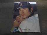 カルビープロ野球カード1973年/No62三村敏之/広島カープ