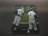 カルビープロ野球カード1974年/No341谷沢健一・高木守道/中日ドラゴンズ