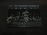 カルビープロ野球カード1975年/No849門田博光/南海ホークス