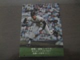 カルビープロ野球カード1975年/No862高橋一三/巨人