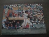 カルビープロ野球カード1975年/No266大熊忠義/阪急ブレーブス