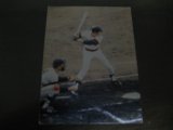 カルビープロ野球カード1974年/No206山本浩司/広島カープ
