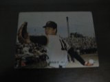カルビープロ野球カード1973年/No14堀内恒夫/巨人/バット版