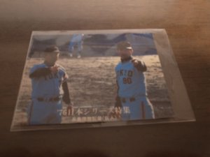 画像1: カルビープロ野球カード1976年/No1281長島茂雄/巨人 