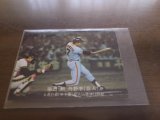カルビープロ野球カード1977年/青版/No226柴田勲/巨人
