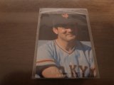 カルビープロ野球カード1976年/No1098長島茂雄/巨人