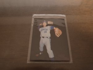 画像1: カルビープロ野球カード1973年/No63稲葉光雄/中日ドラゴンズ/バット版