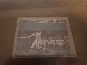 画像1: カルビープロ野球カード1974年/No387門田博光/南海ホークス