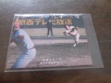カルビープロ野球カード1975年/No255足立光宏/阪急ブレーブス