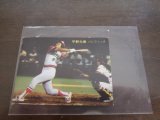 カルビープロ野球カード1981年/No204平野光泰/近鉄バファローズ/オールスターゲーム