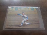 カルビープロ野球カード1973年/No301星野仙一/中日ドラゴンズ