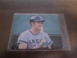 カルビープロ野球カード1973年/No80田淵幸一/阪神タイガース/バット版