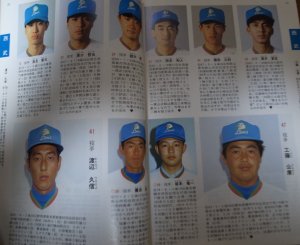 画像2: ホームラン/プロ野球カラー写真名鑑1993年/選手名鑑