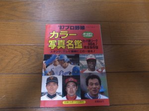 画像1: ホームラン/プロ野球カラー写真名鑑1987年/選手名鑑