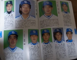 画像2: ホームラン/プロ野球カラー写真名鑑1987年/選手名鑑