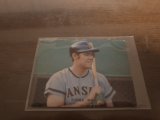 画像: カルビープロ野球カード1973年/No80田淵幸一/阪神タイガース/旗版