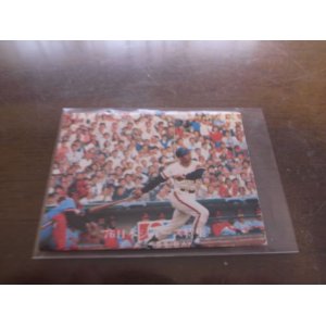 画像: カルビープロ野球カード1976年/No1257王貞治/巨人