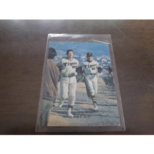 画像: カルビープロ野球カード1975年/No595田淵幸一/阪神タイガース