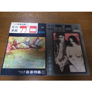 画像: 月刊漫画ガロ/つげ義春特集1/2セット