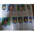 画像2: ホームラン/プロ野球カラー写真名鑑1987年/選手名鑑 (2)
