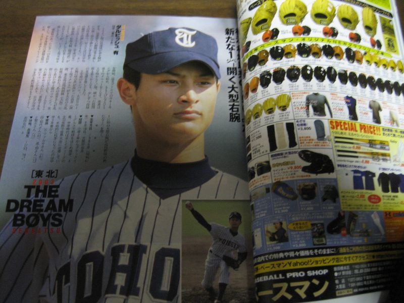 平成15年報知高校野球No2/2003センバツ全34代表校パーフェクト・ガイド/広陵/横浜高校/徳島商/東洋大姫路 - 港書房