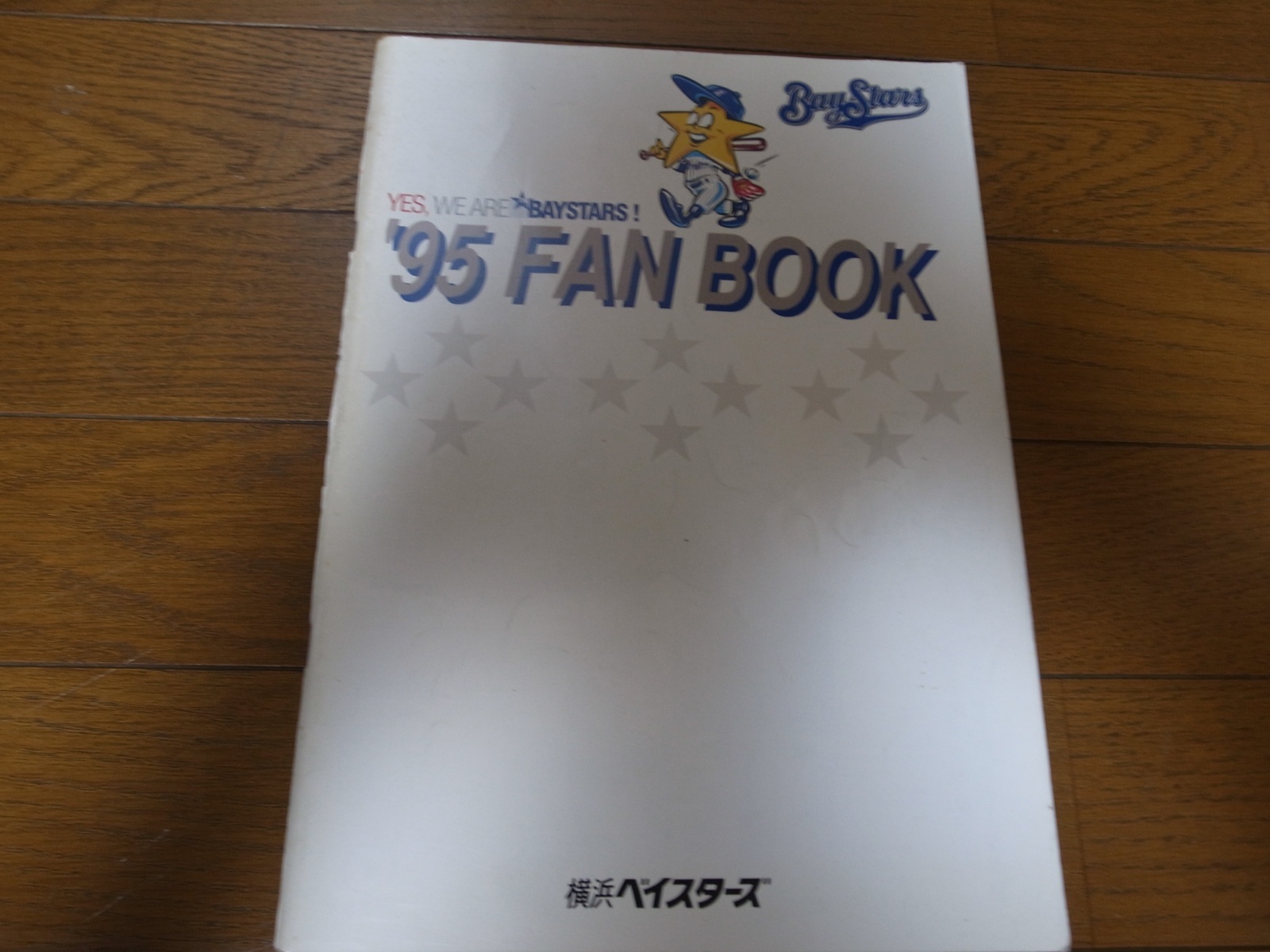 画像1: 横浜ベイスターズファンブック1995年 (1)